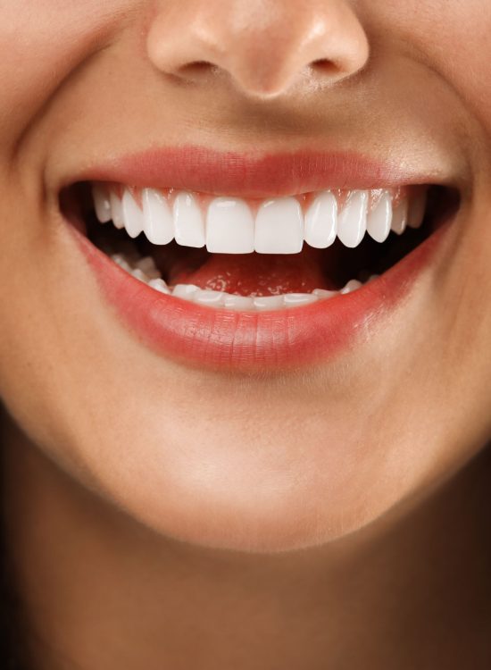 Panfleto para evento de adoção de animais vintage verde(14)