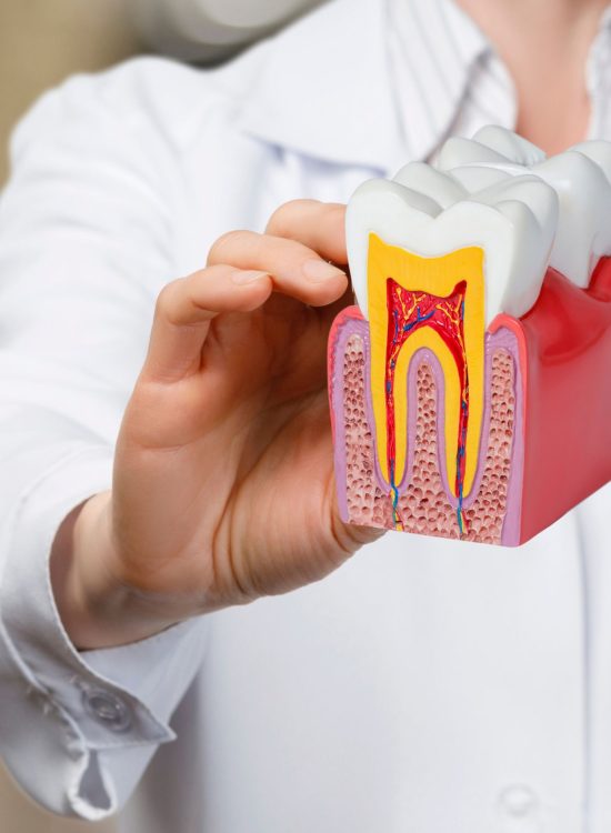 Panfleto para evento de adoção de animais vintage verde(9)